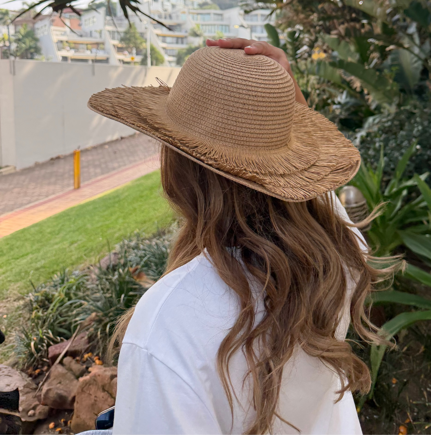 Coastal Breeze